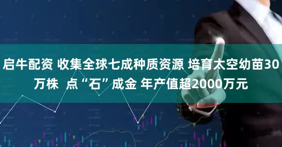 启牛配资 收集全球七成种质资源 培育太空幼苗30万株  点“石”成金 年产值超2000万元