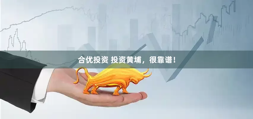 合优投资 投资黄埔，很靠谱！