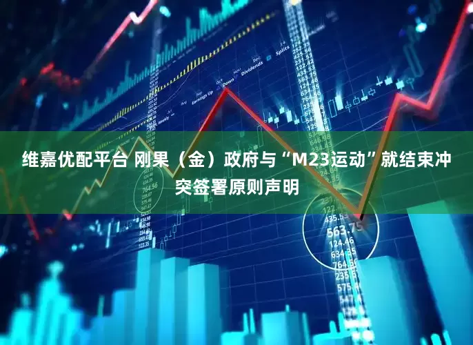 维嘉优配平台 刚果（金）政府与“M23运动”就结束冲突签署原则声明