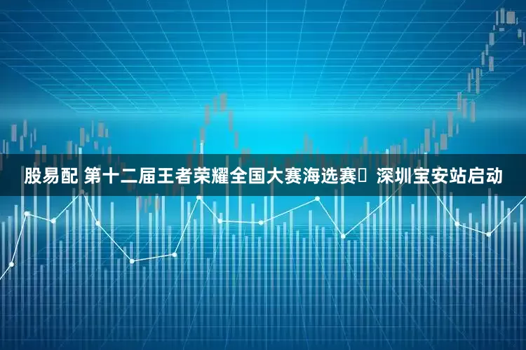股易配 第十二届王者荣耀全国大赛海选赛・深圳宝安站启动