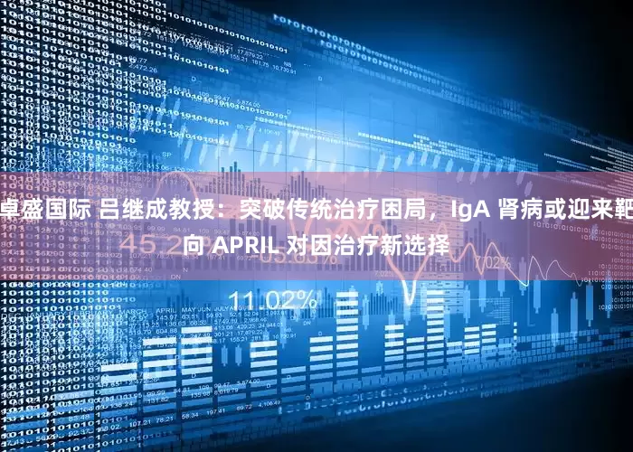 卓盛国际 吕继成教授:突破传统治疗困局,IgA 肾病或迎来靶向 APRIL 对因治疗新选择